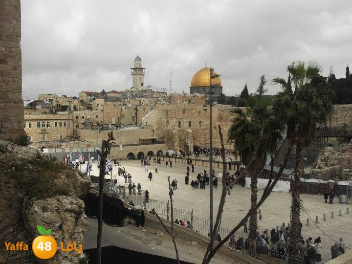 akademylud325 (4).JPG